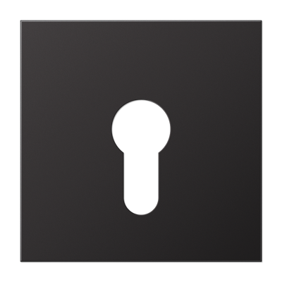 JUNG крышка для выключателя с замком, Dark AL2925D