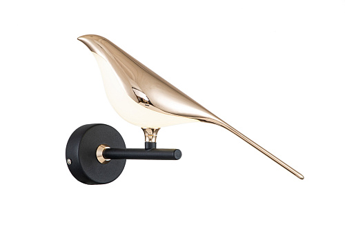 Divinare 1188/06 AP-6 Светильник настенный