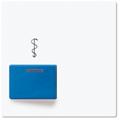 JUNG Крышка для изделий фирмы Ackermann A022A-2WW