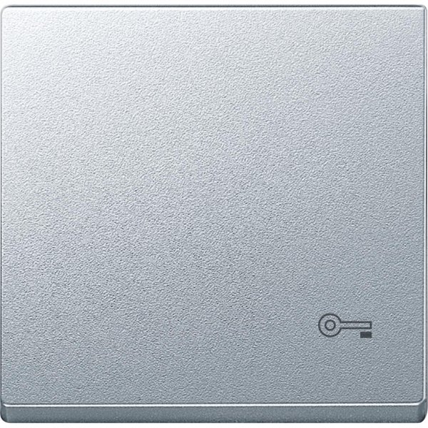 Купить SE Merten SM Алюминий Клавиша с пиктограммой «ключ» (MTN3303-0460)