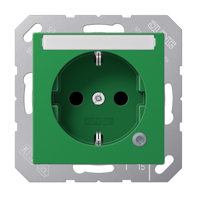 JUNG SCHUKO розетка с полем для надписи 6x46 мм, зелёный ABA1520BFNAKOGN
