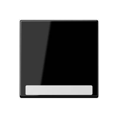 JUNG Клавиша с полем для надписи, чёрный A590BFNASW