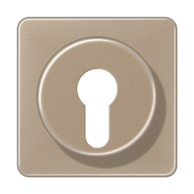 JUNG Крышка для выключателя с замком золотая бронза CD528GB