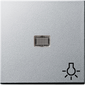 Gira Клав с больш окном пикт-мой Свет 063026