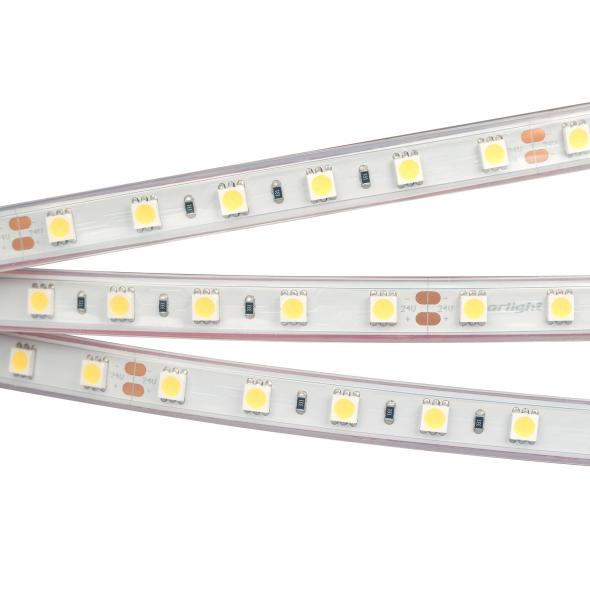 Arlight Светодиодная лента RTW 2-5000P 24V White6000 2x (5060, 300 LED, LUX) (14.4 Вт/м, IP66) 010357