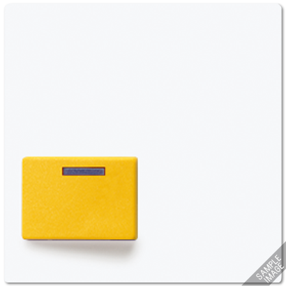 JUNG Крышка для изделий Ackermann 642D