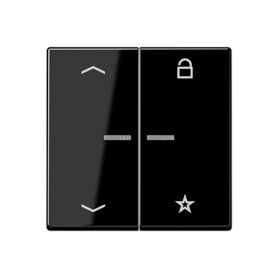 JUNG Центральная плата для вставок управления двигателями, чёрный A1701PSW