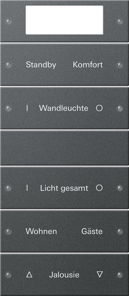 Gira Набор клавиш 5-местный Plus (2+3),  ГРАВИРОВКА 221528