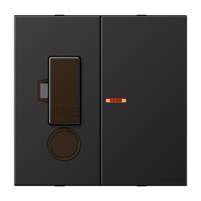 JUNG Накладка BS2190CUKOALDPL