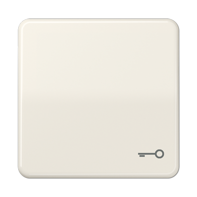 JUNG CD Бежевая Клавиша для 1-ая с символом КЛЮЧ ударопрочная CD590BFT