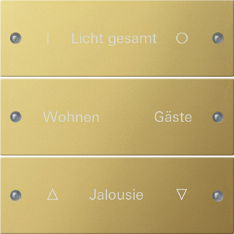 Gira KNX Комплект клавиш, 3 шт. гравировка 2133608