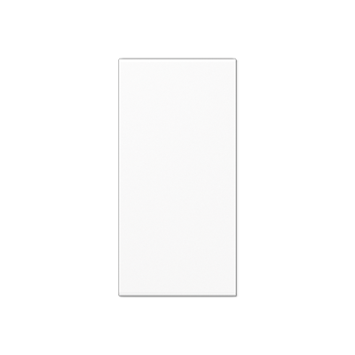 JUNG Белая Накладка в цвет клавиш A50NAWW