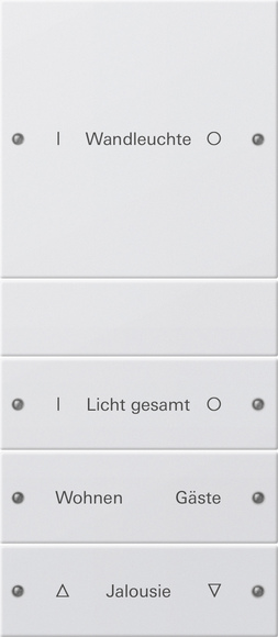 Gira Набор клавиш 4-местный (1+3),  ГРАВИРОВКА 220427