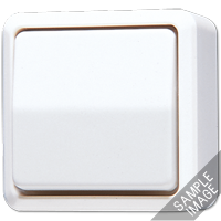 JUNG Выключатель для накладного монтажа, двухполюсный слоновая кость 602A