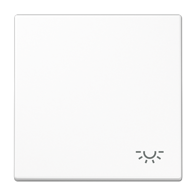 JUNG LS 990 Белая Клавиша 1-ая с символом ОСВЕЩЕНИЕ LS990LWW