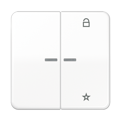 JUNG Центральная плата универсальная, белый CD1701WW