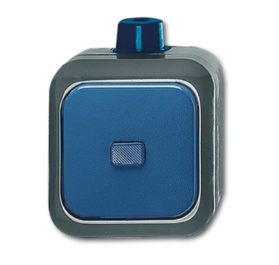 ABB BJE Переключатель 1-клавишный, IP66, для открытого монтажа, для работы в агрессивных средах, сер 2CKA001084A0797