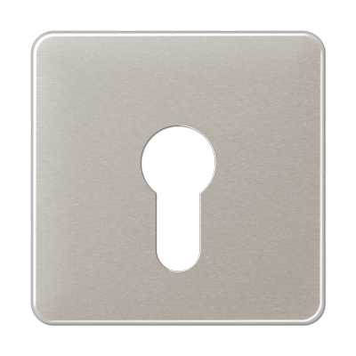 JUNG центральная плата для вставки с ключом, платина CD525PT