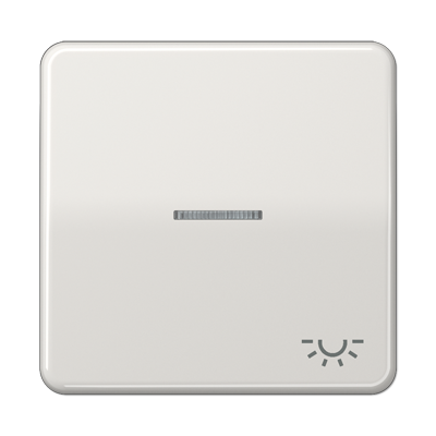 JUNG CD 500/CD plus Светло-серая Клавиша 1-ая с/п с символом ОСВЕЩЕНИЕ CD590KO5LLG