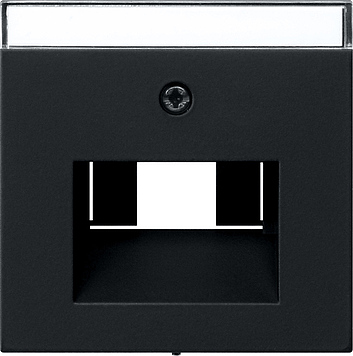 Gira Накладка 50*50 мм для розеток UAE/IAE с полем для надписи 0284005