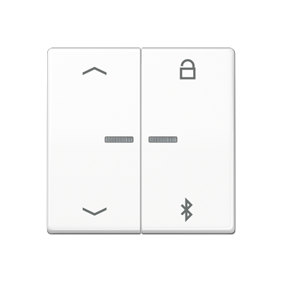 JUNG Таймер универсальный Bluetooth «стрелки», белый AS1751PBTWW