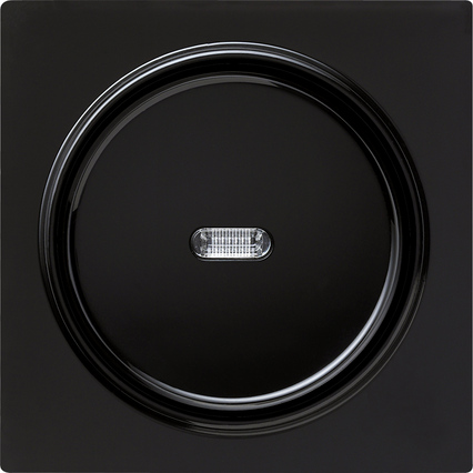 Gira Клавиша с подсветкой 029047