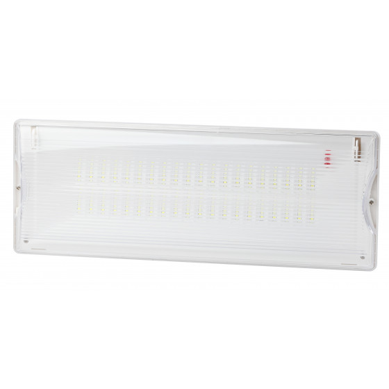 ЭРА Аварийный светильник светодиодный DPA-301-1-65 постоянный 40LED 3ч IP65 NiCD
