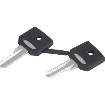 Купить SE XB5 Комплект ключей N\ 455 ZBG455