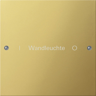 Gira KNX Комплект клавиш, 1 шт. гравировка 2131608