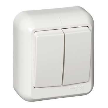 Купить SE Wessen Прима наруж Бел Выключатель 2-клавишный 10А, монтажная пластина (в сборе)(опт.упак.) VA5U-214M-B