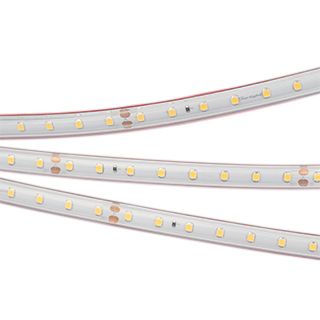 Arlight Лента RTW 2-5000PS-50m 24V White6000 (2835, 80 LED/m, LUX) 024527