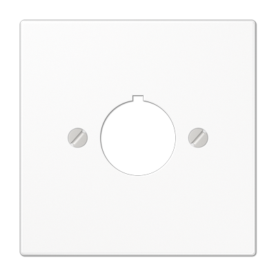 JUNG Крышка для установки специальных изделий Ø22,5 мм с несущим каркасом белая LS964WW