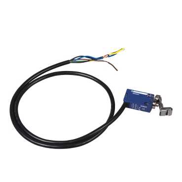 Купить SE Выключатель концевой ролик-плунжер XCMD2124L1