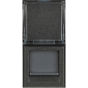 BT Axolute Антрацит Розетка компьютер RJ45 6 кат. UTP 1 мод HS4279C6