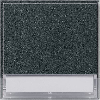 Gira Клавиша с полем для надписи 37*47 мм 067667