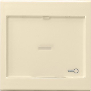 Gira Клавиша с полем для надписи 37*47 мм 067601