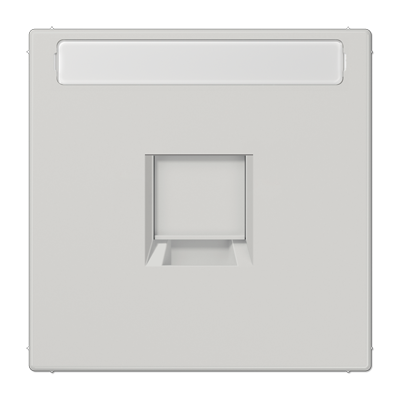 JUNG Плата (фиксация защёлкиванием) для одного модуля с полем для надписи термопласт светло-серый LS1969-15NAWELG
