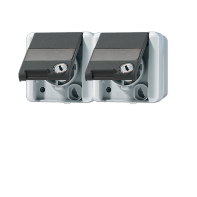 JUNG Двойная горизонтальная SCHUKO-розетка 16A 250V~ с полем для надписи IP44 8220NAWSL