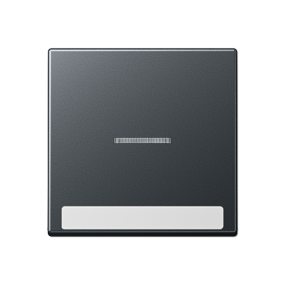 JUNG Клавиша с полем для надписи, матовый антрацит A590BFNAKO5ANM