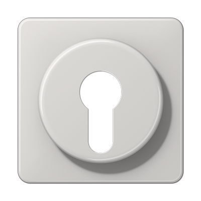 JUNG Крышка для выключателя с замком светло-серая CD528LG