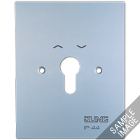 JUNG Металлическая крышка 125×100 мм без символов алюминий 6.28WUG