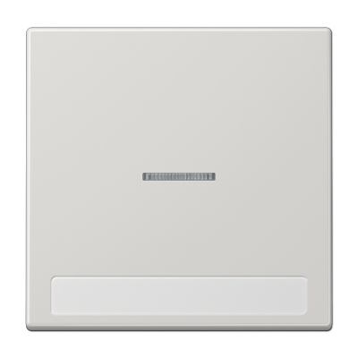 JUNG Клавиша для  выключателя с подсветкой и полем для надписи светло-серая LS990NAKO5LG