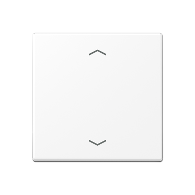 JUNG A Flow/A 550 Белый матовый Центральная плата стандарт с символами «стрелки» A1700BFPWWM