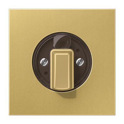 JUNG Накладка поворотного механизма классик ME1941C