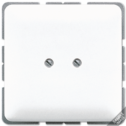 JUNG Глухая крышка с опорным кольцом, слоновая кость 561B