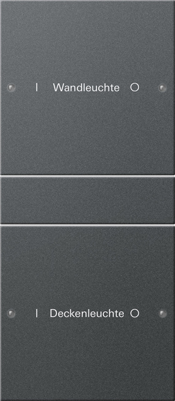 Gira Набор клавиш 2-местный (1+1),  ГРАВИРОВКА 220228