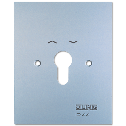 JUNG Металлическая крышка 125×100 мм с символами алюминий 4.28WUG
