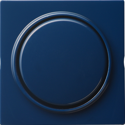 Gira S-Color Синий Клавиша 1-ая 029646