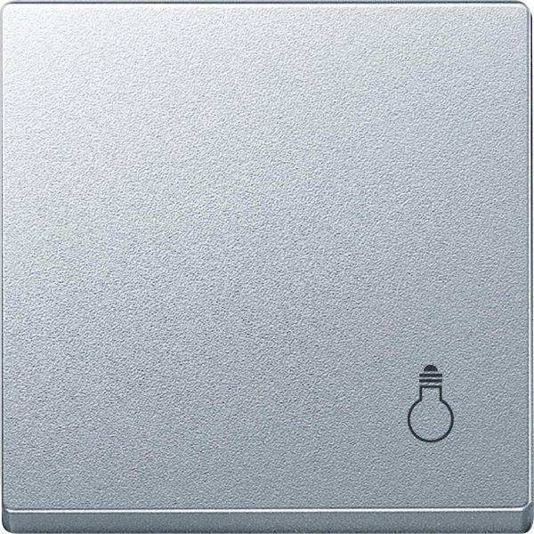 Купить SE Merten SM Клавиша с маркировкой «свет» (MTN439960)