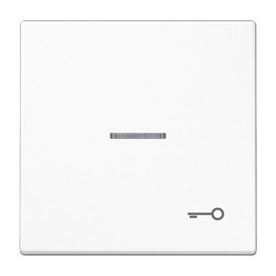 JUNG Клавиша для выключателя с символом «Ключ», белый LS990KO5TWW